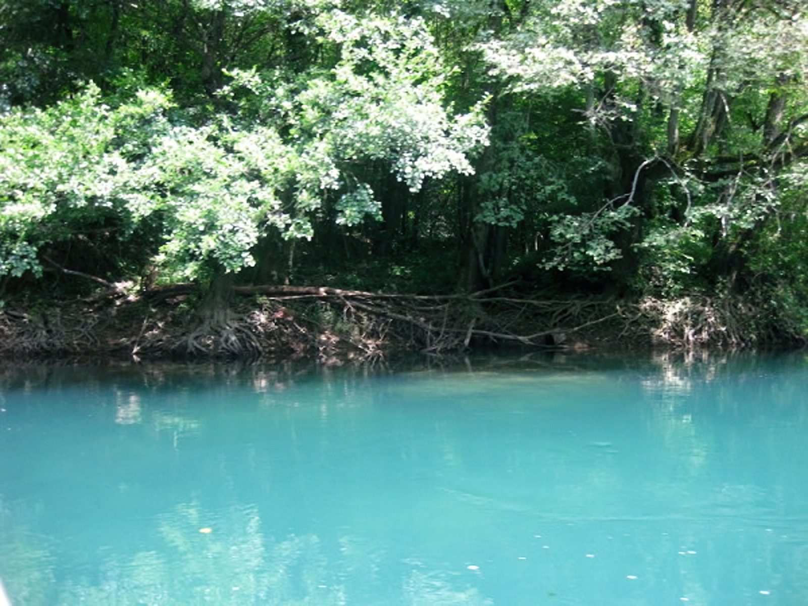Rafting v BiH, 2008