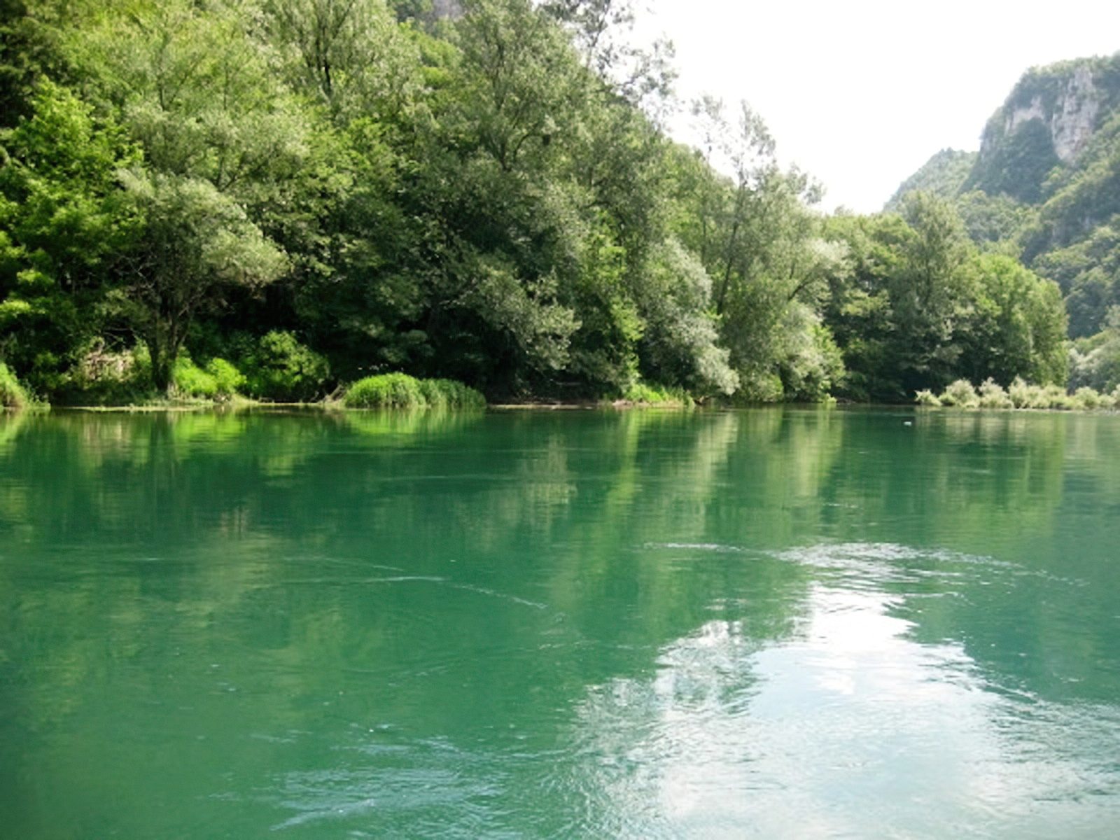 Rafting v BiH, 2008