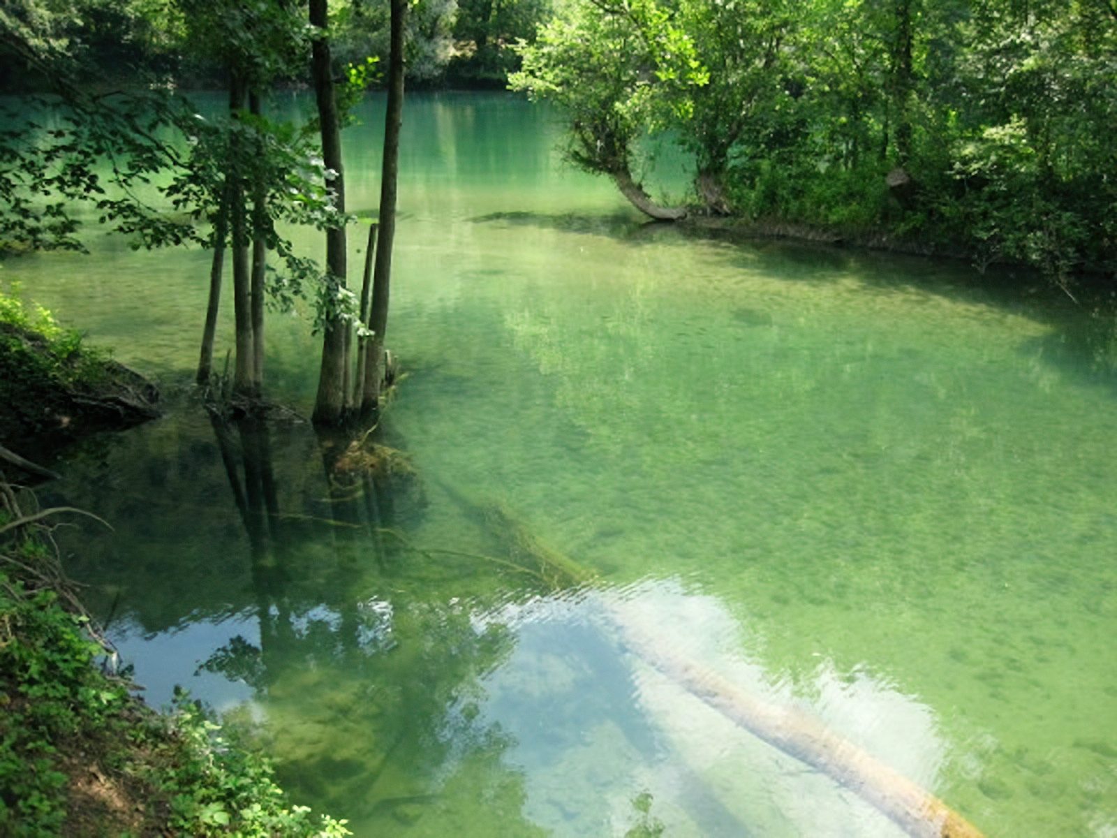 Rafting v BiH, 2008