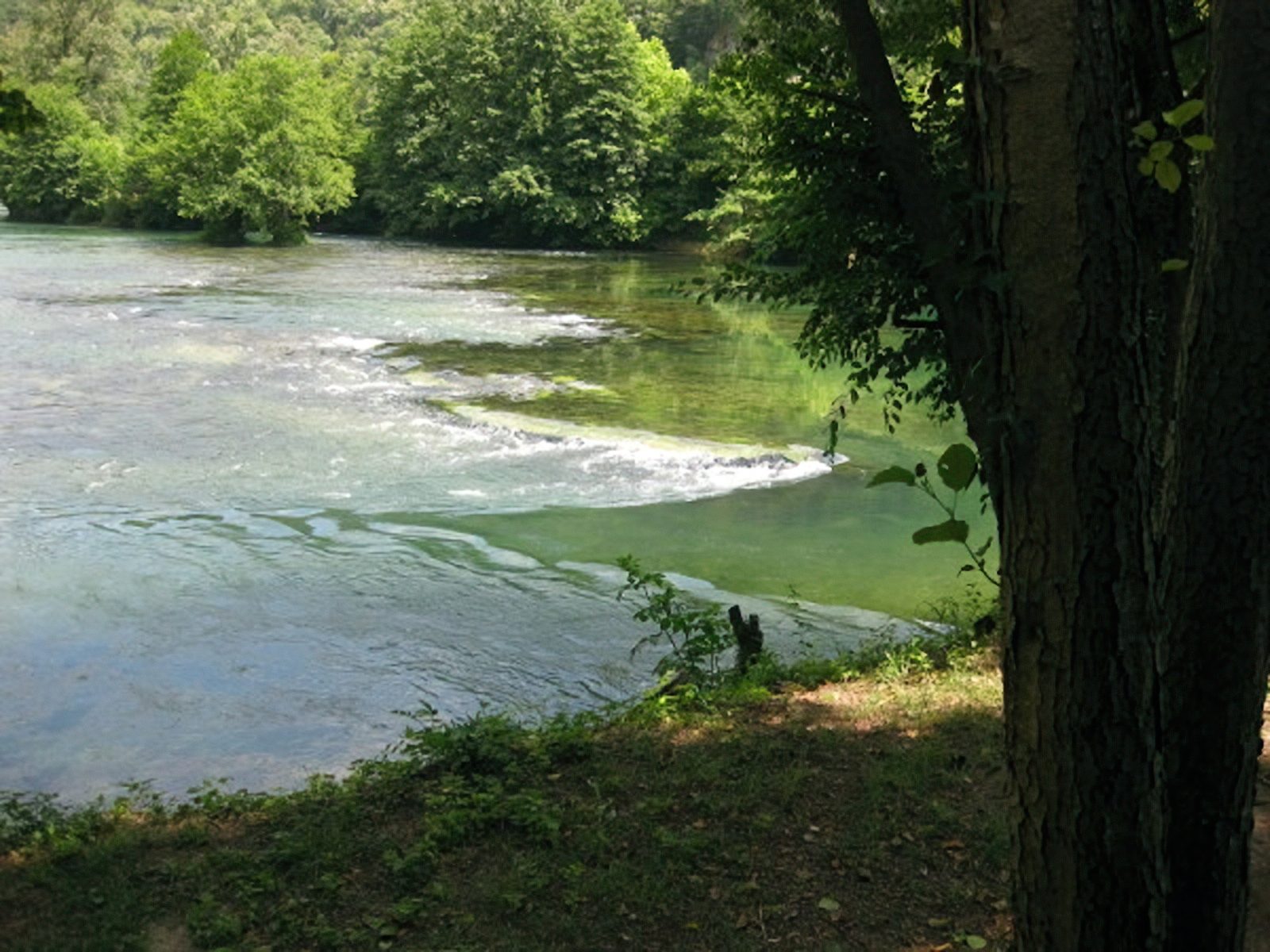 Rafting v BiH, 2008