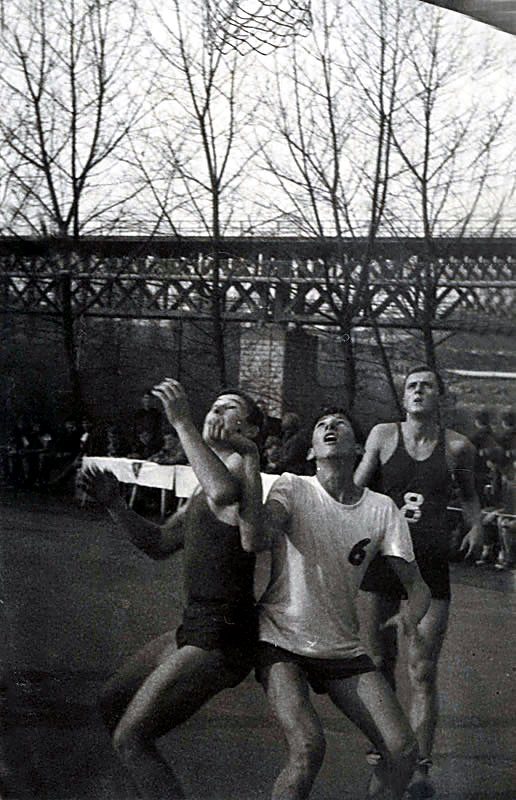 Borba pod košem, 1969